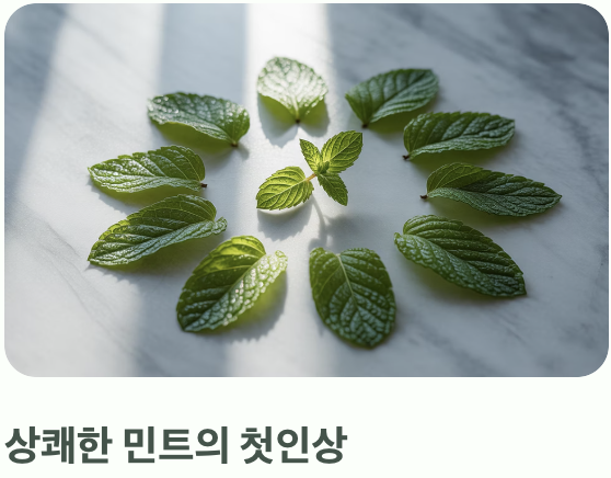 '화한 민트'와 '달큰한 아니스'의 만남