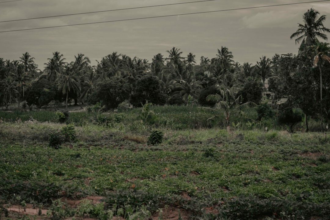 Land Register