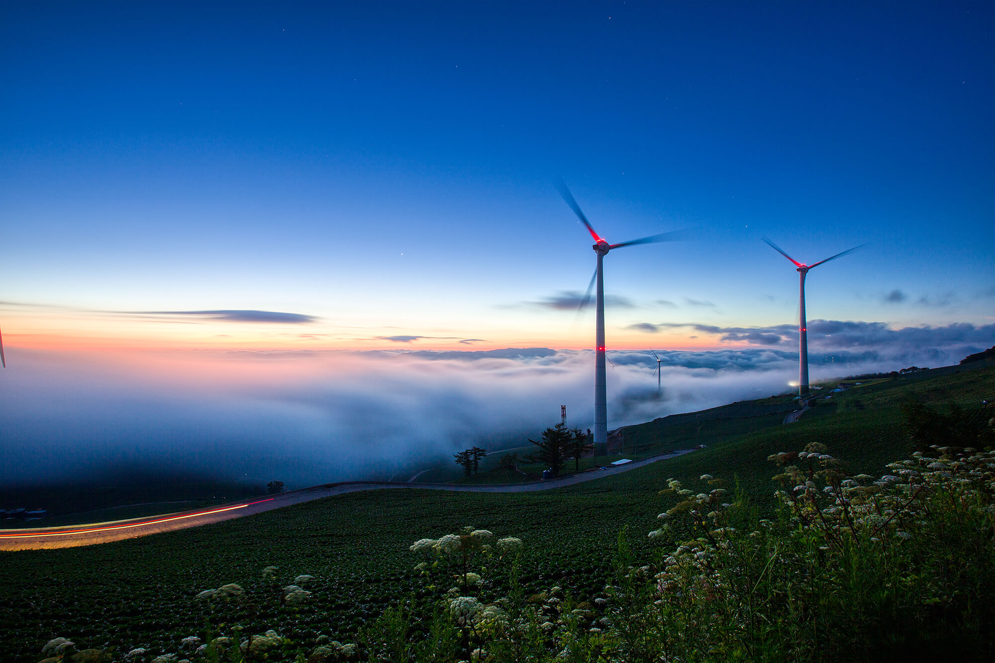 태택 매봉산 여명