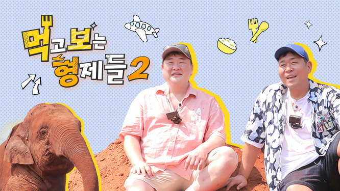 먹보형 기획의도
