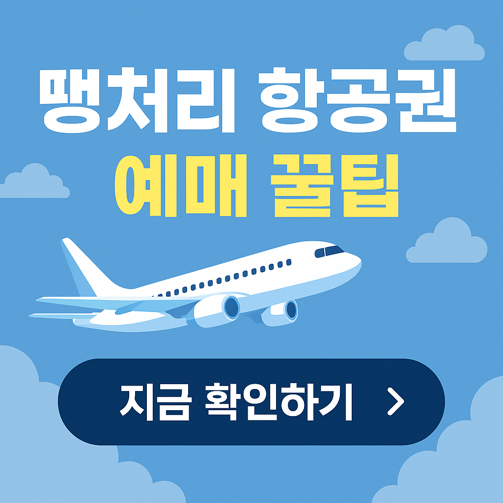 ✈️ 해외여행 땡처리 항공권 찾는 법