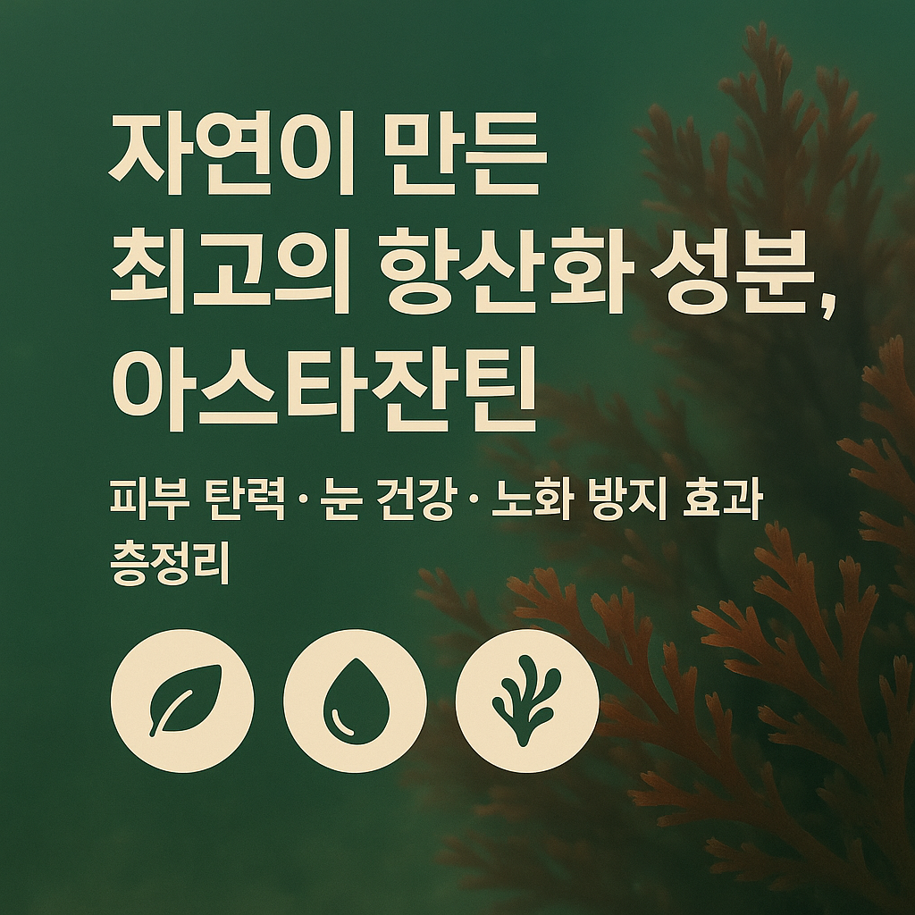 아스타잔틴 효능 총정리 피부·눈 건강부터 피로 회복까지