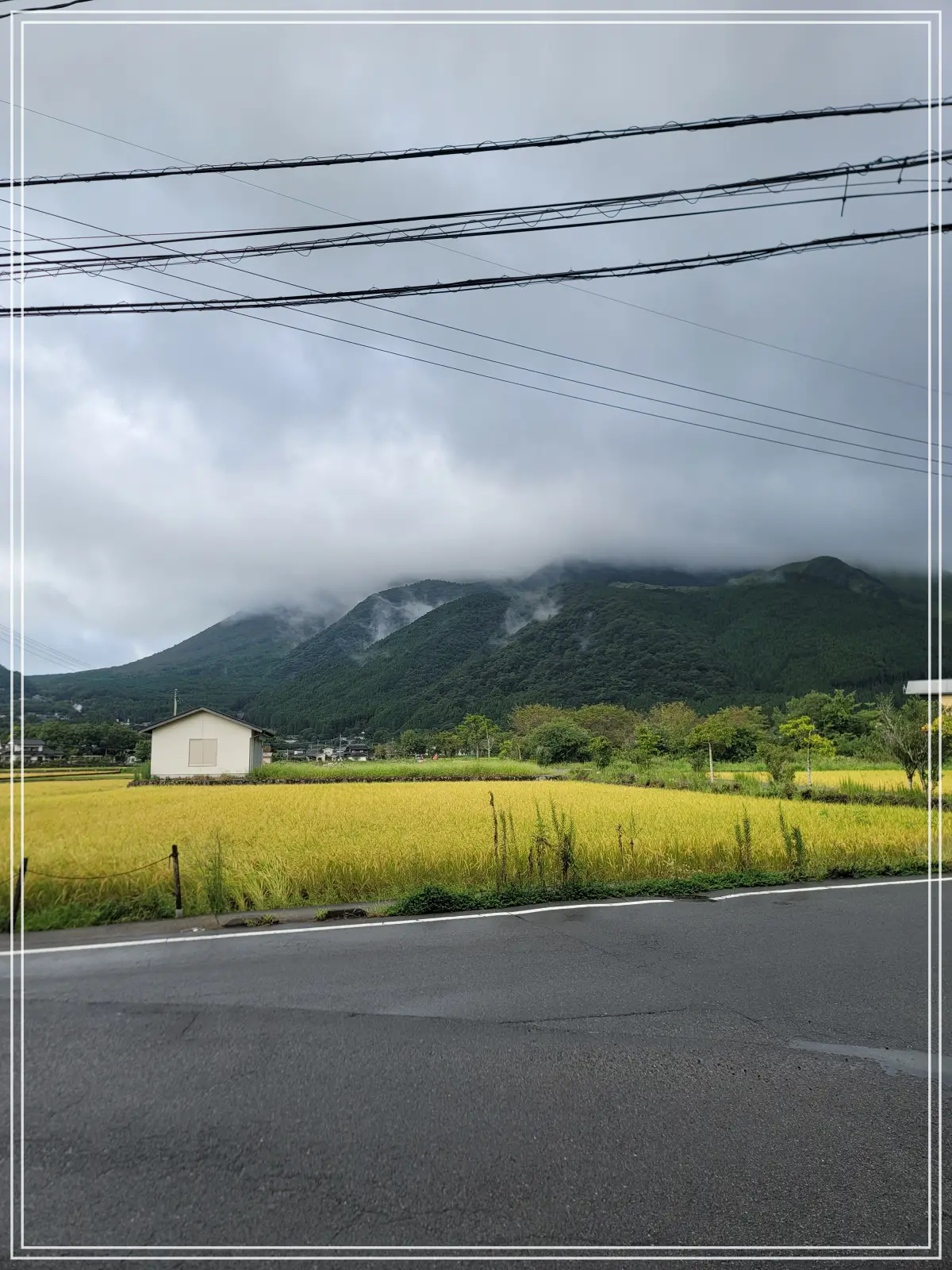 유후인-숙소-근처-풍경2