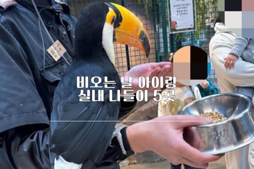 비 오는 날 아이랑 실내 나들이 5곳 추천 썸네일
