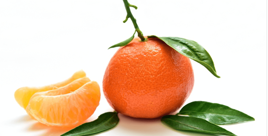 12월 제철 음식 귤