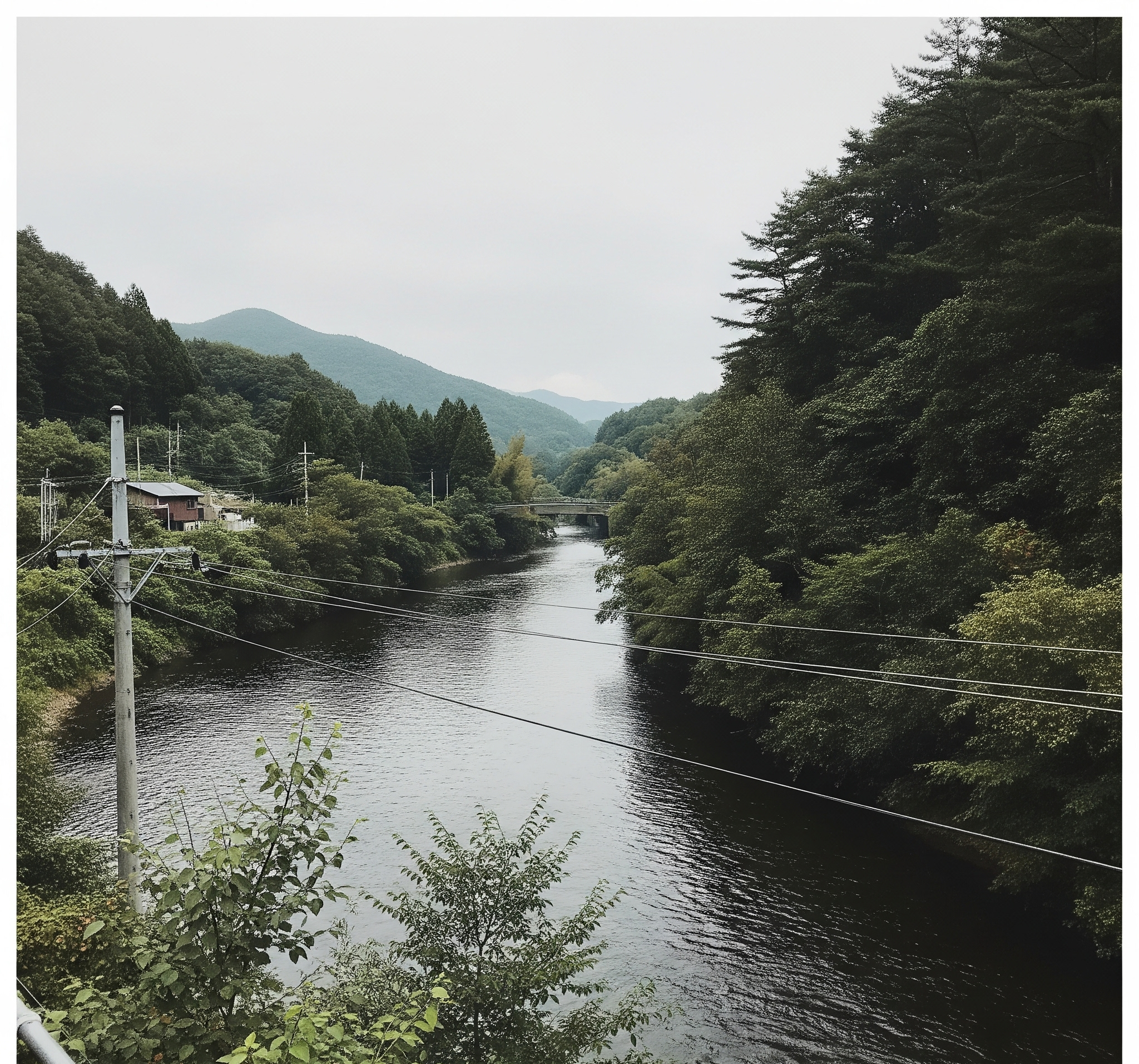 묘지 및 축사 인접 토지