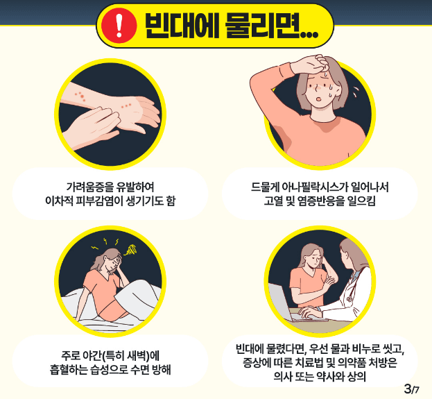 빈대에 물렸을때