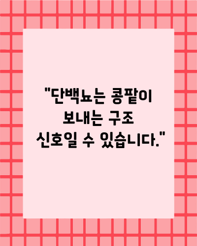 단백뇨 원인