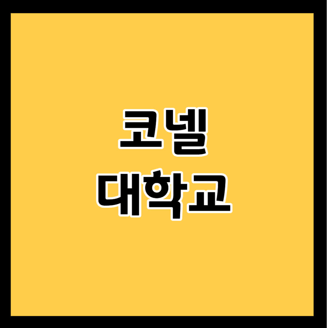 코넬-대학교