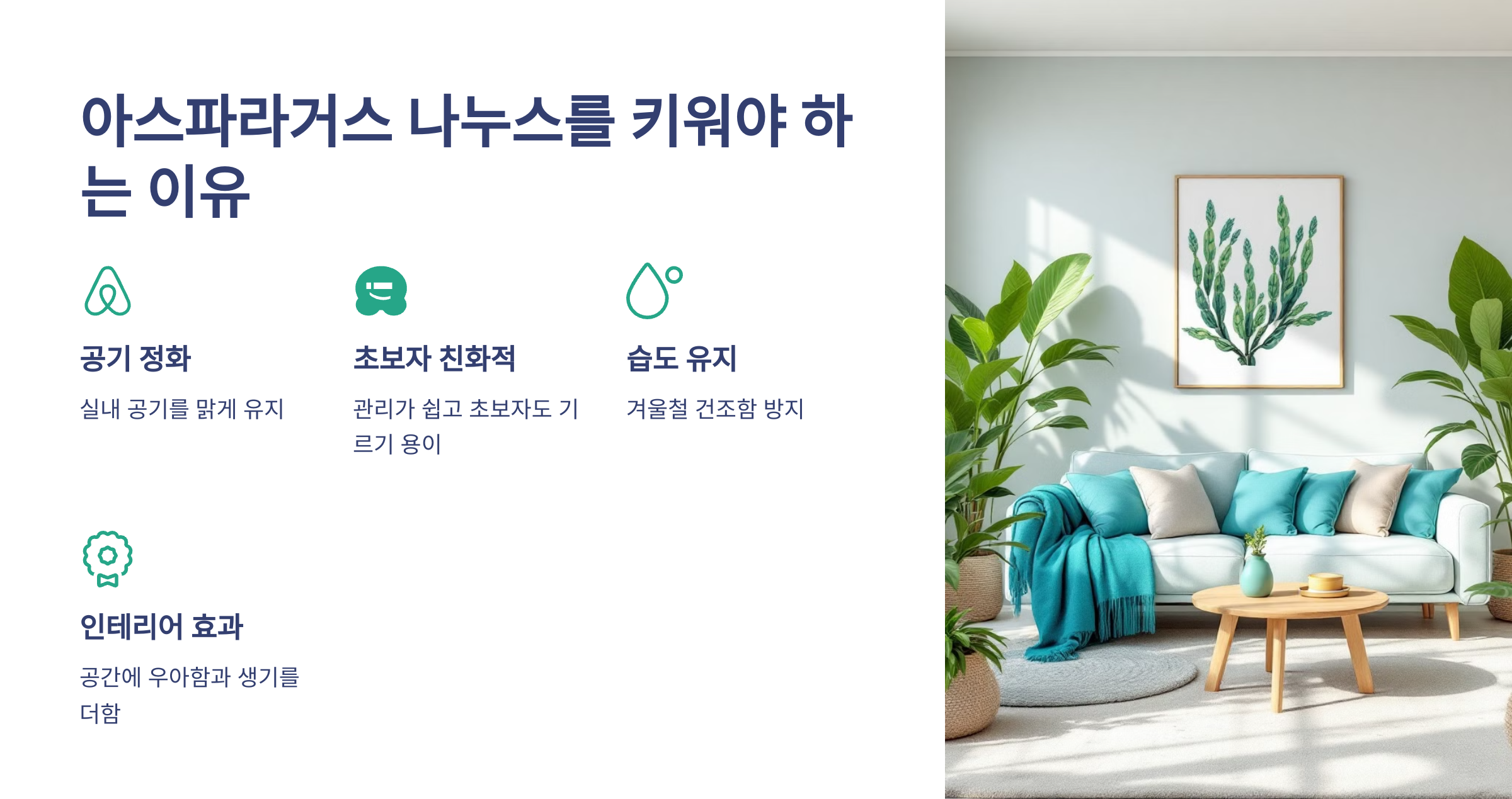 아스파라거스 나누스