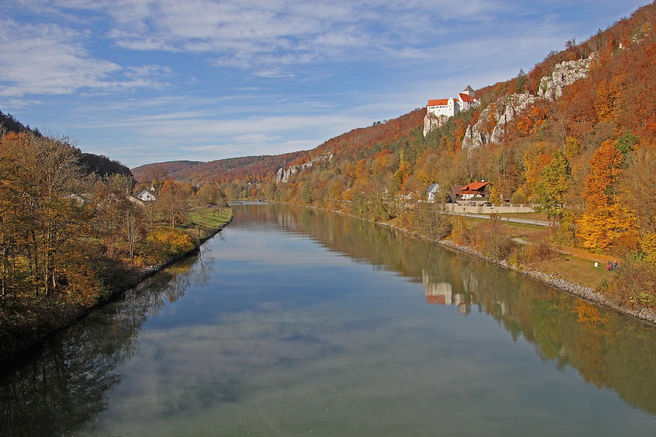 넓은 강변에 붉게 물들은 나무