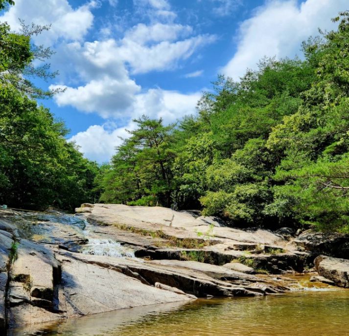 대야산자연휴양림