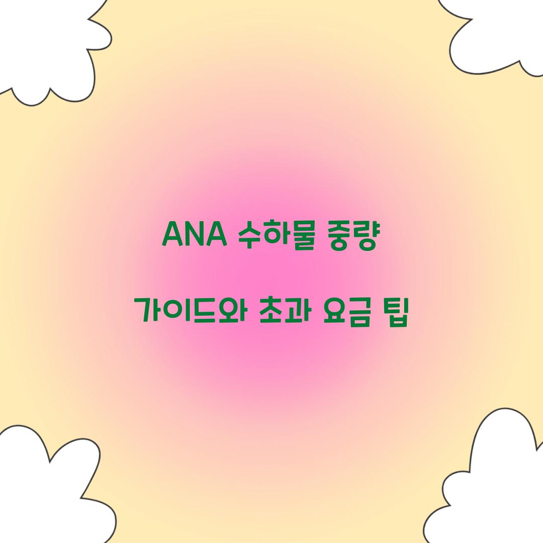 ANA 수하물 중량