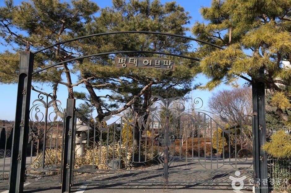 평택 가볼만한곳 베스트 10