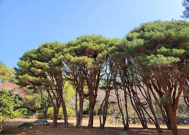 국립소록도병원 한센병박물관