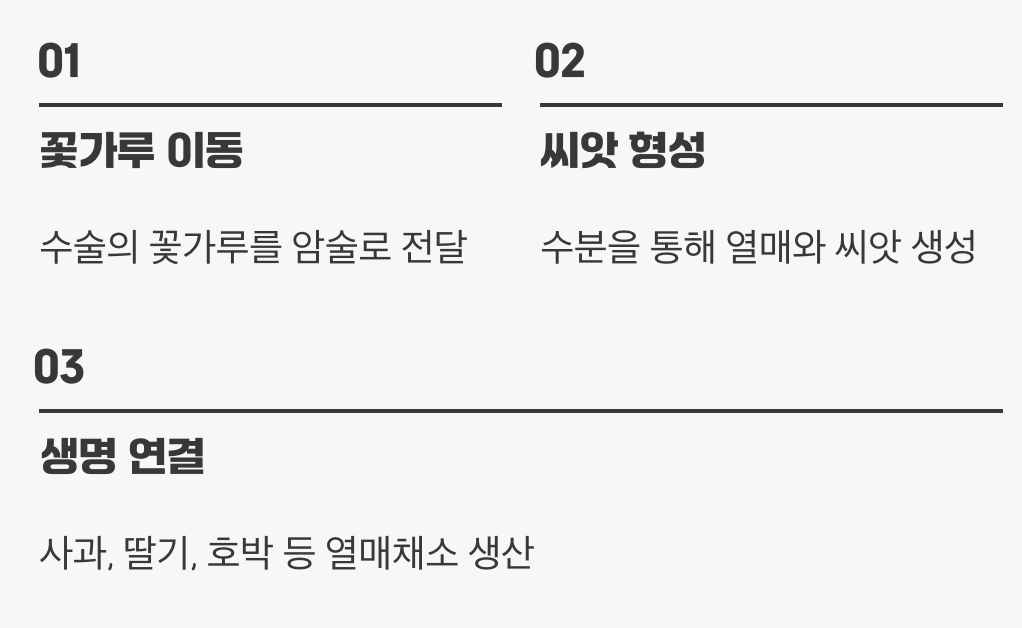 식물의 결혼을 돕는 '중매쟁이'