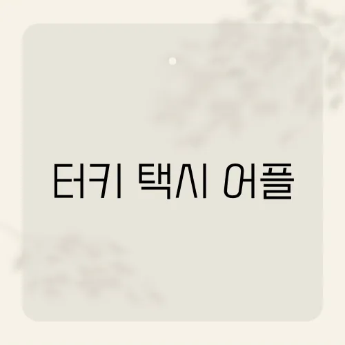 터키 택시 어플, 현지인도 몰래 쓰는 기능?