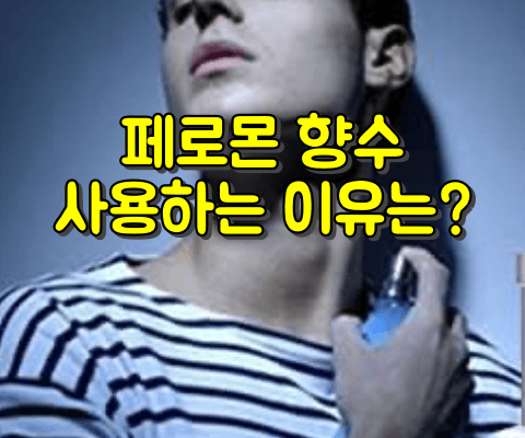 페로몬 향수 사용하는 이유