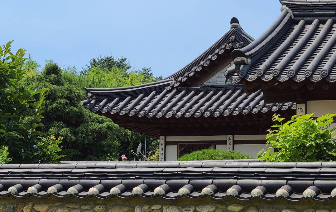 시흥 연꽃테마파크