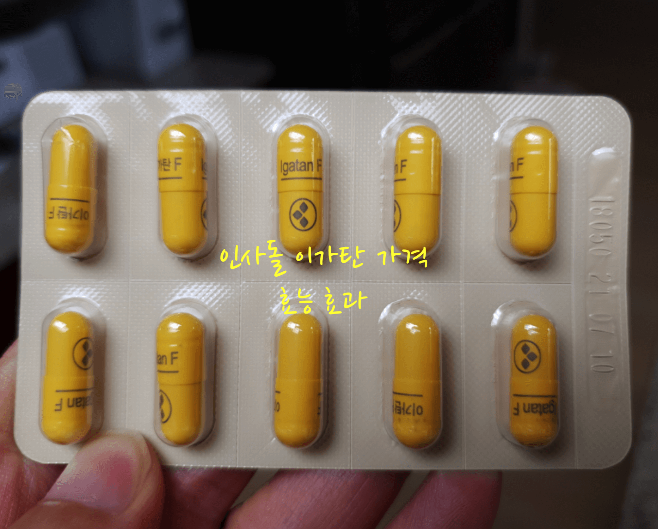 인사돌 이가탄 가격