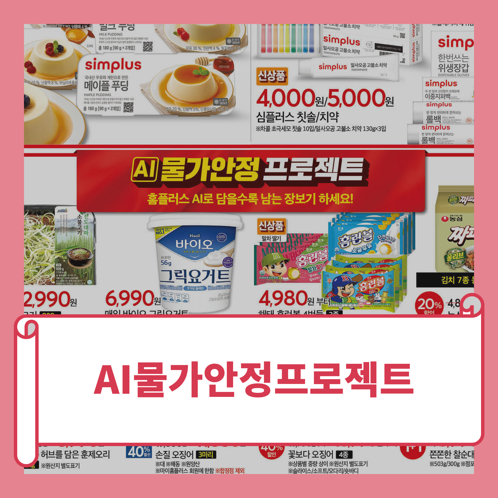 홈플러스 전단 물가안정프로젝트