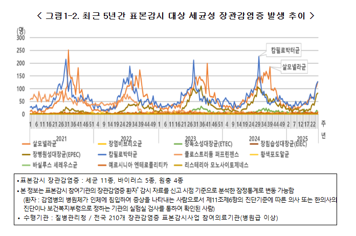 여름철 식중독 예방법 6가지 완전정복