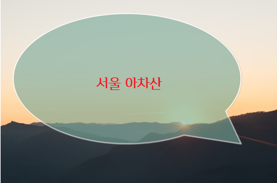 2025년 해돋이 명소 지역별 축제