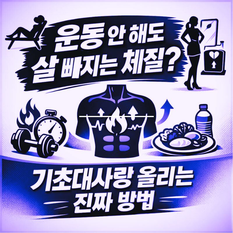 alt="기초대사량 올리는 진짜 방법"