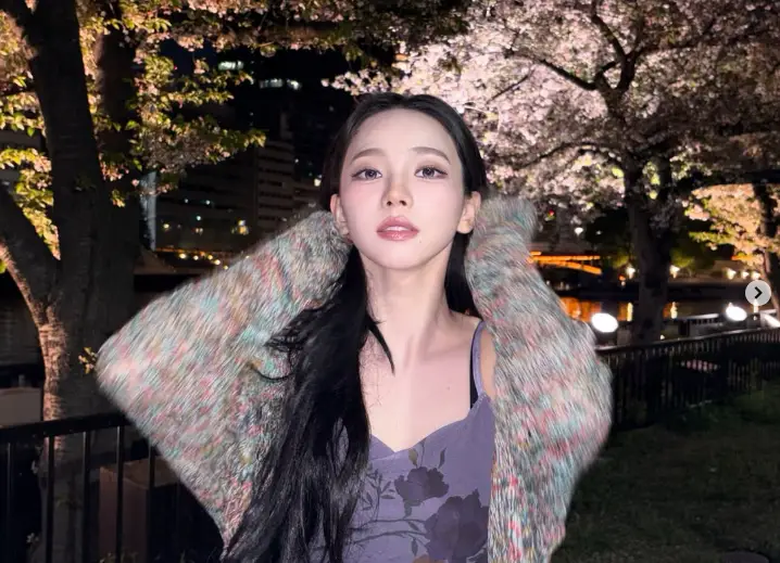 카리나 벚꽃 인스타