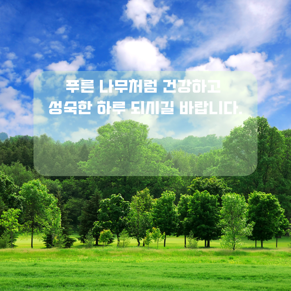 4월 인사말 식목일 인사글귀 좋은 글 문구 나무 숲 사진 이미지 모음집