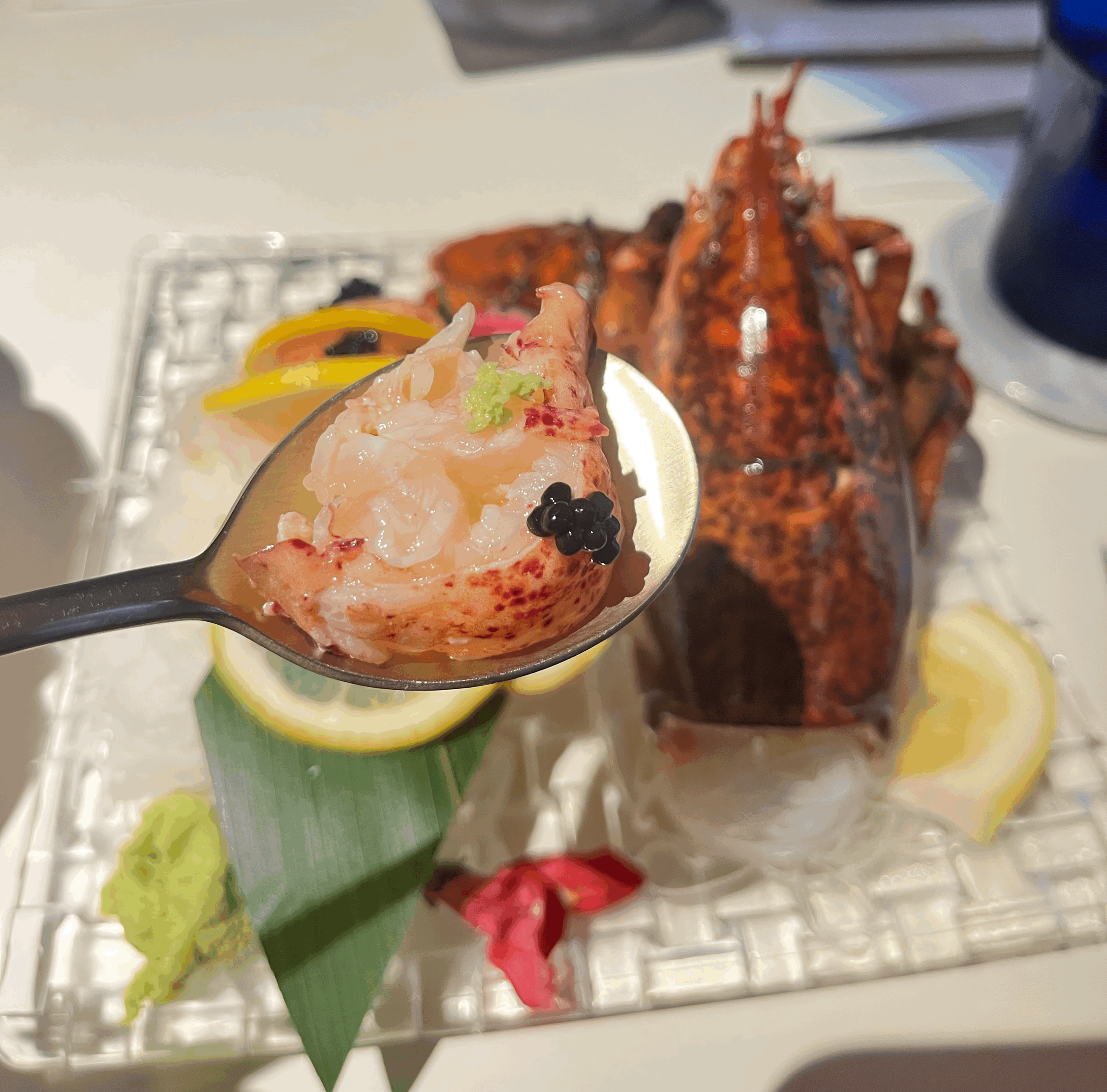 코타바이뎐-랍스터