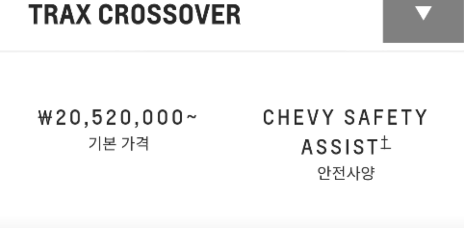 쉐보레 트랙스 홈페이지 가격 유출