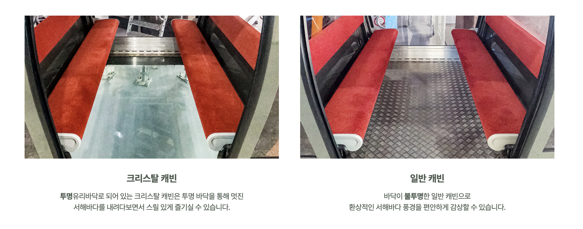 전현무 나혼자 산다 탄도항 일몰