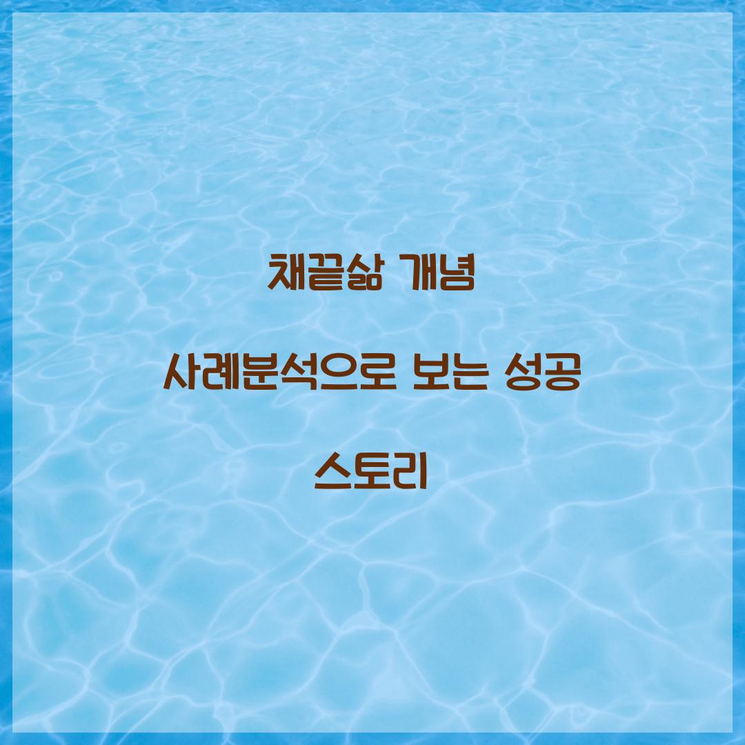 채끝삶 개념 사례분석