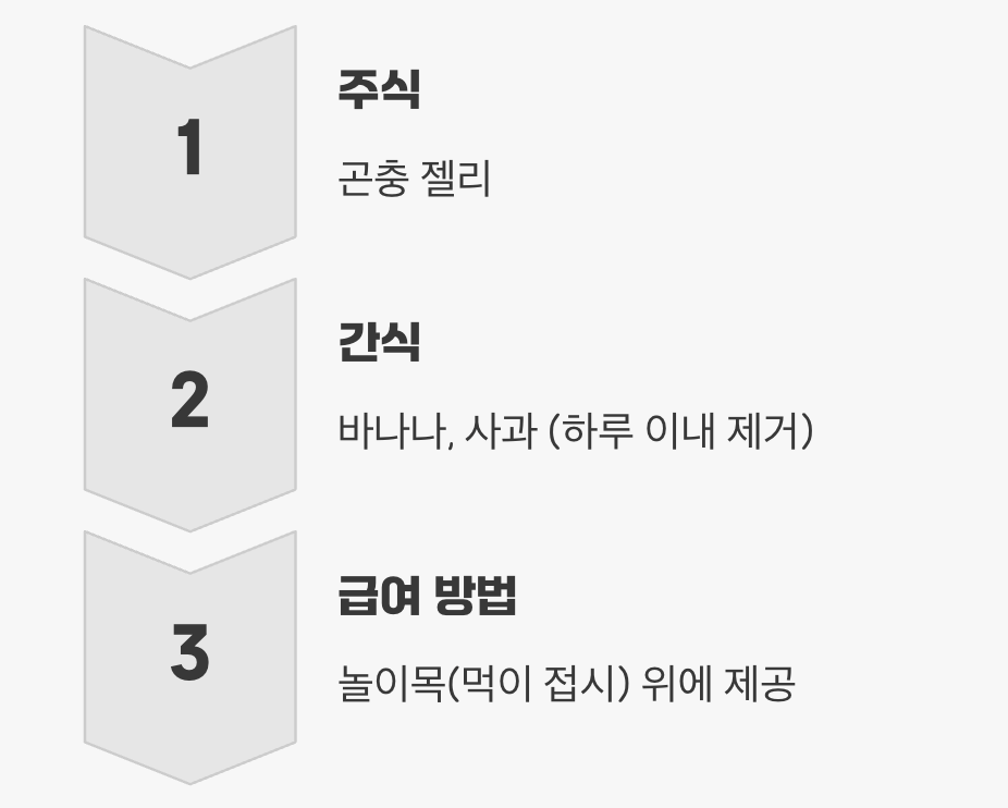 미식가를 위한 특식&amp;#44; &amp;#39;먹이&amp;#39;는 어떻게 줄까?