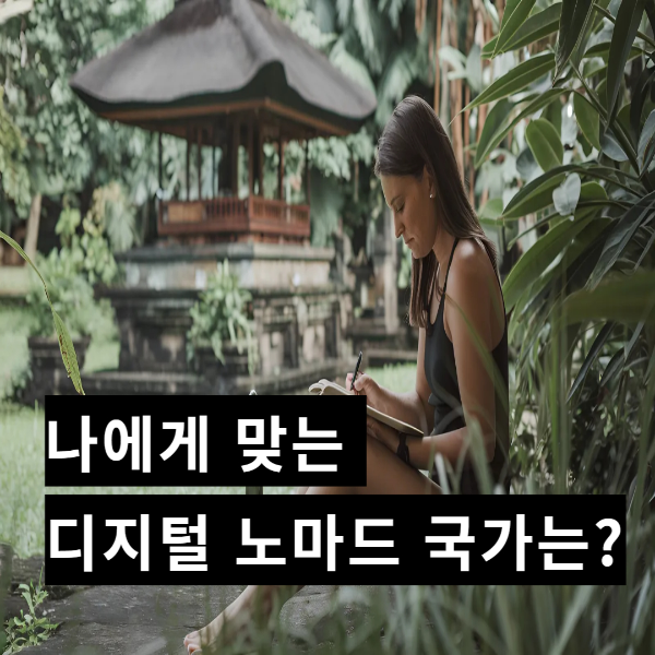 나에게 맞는 디지털 노마드 국가는?