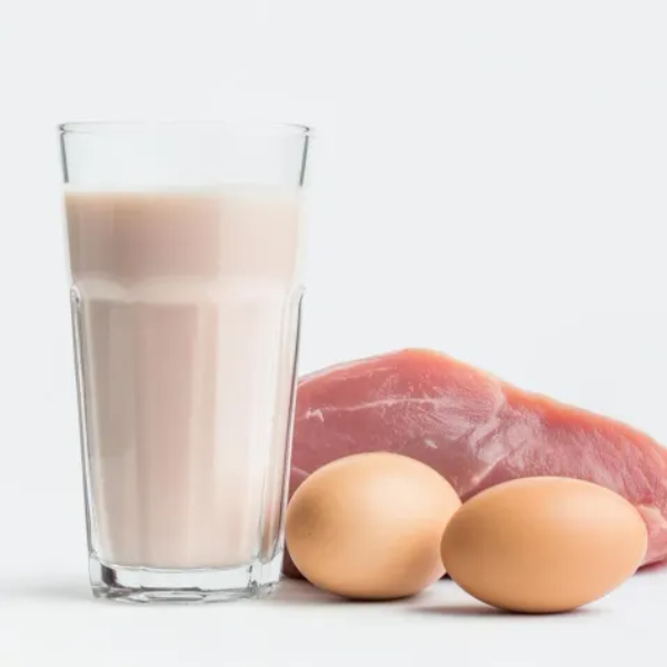 식물성 vs 동물성 단백질 43