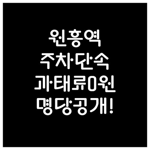 원흥역 불법 주정차 단속 기준과 안전..