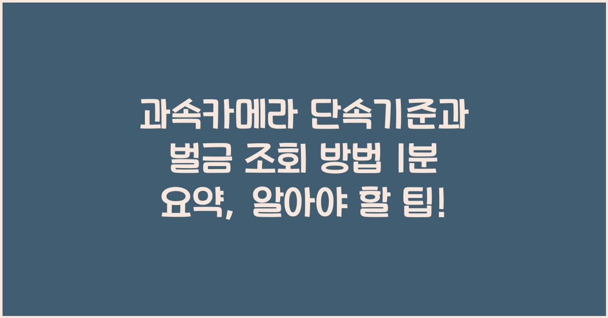 과속카메라 단속기준과 벌금 조회 방법 1분 요약
