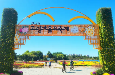 고양 가을꽃축제