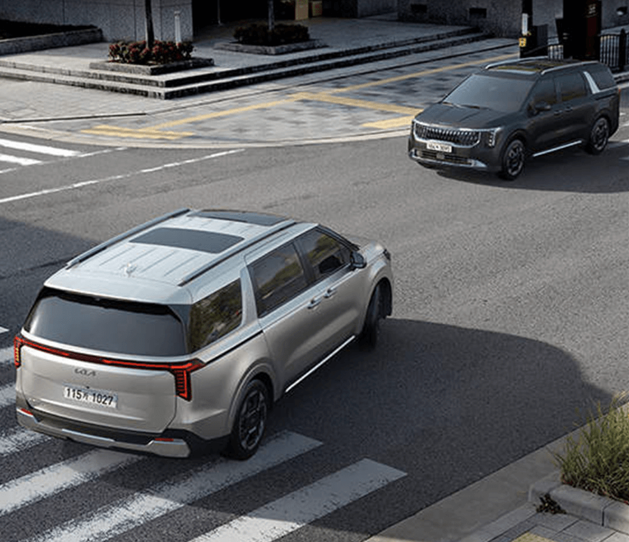 카니발 하이브리드