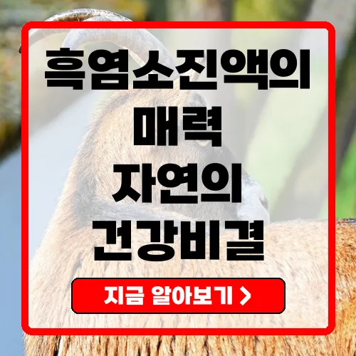 흑염소진액 주요 효능과 부작용 총정리