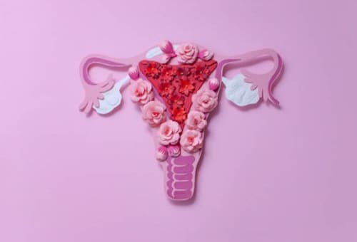 생리가늦어지는이유