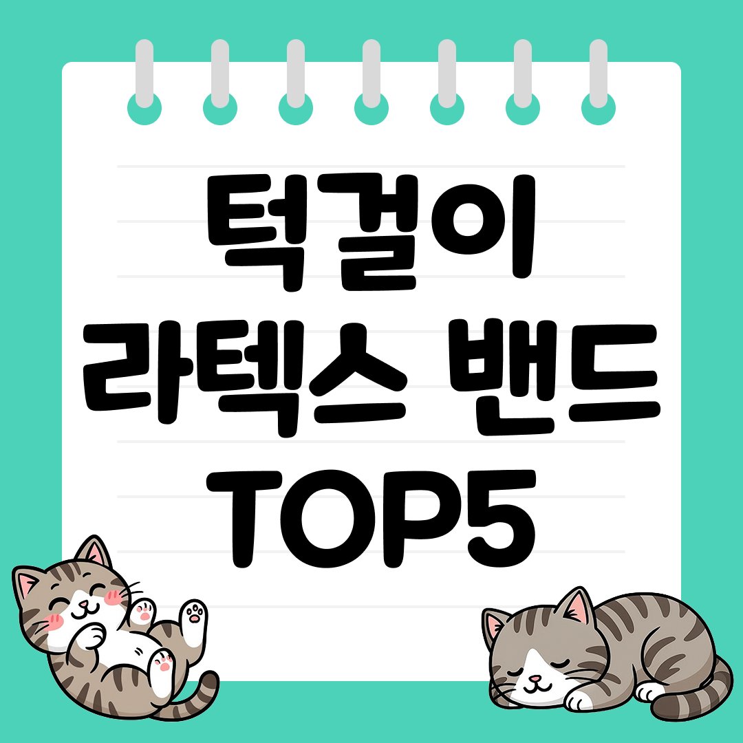 초보자도 쉽게 턱걸이 성공하는 턱걸이 라텍스 밴드 추천 TOP5