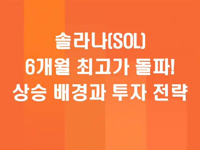 솔라나(SOL) 6개월 최고가 돌파! 상승 배경과 향후 투자 전략