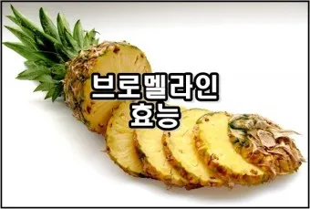 브로멜라인아이 정의 효능 섭취방법 주의사항_4