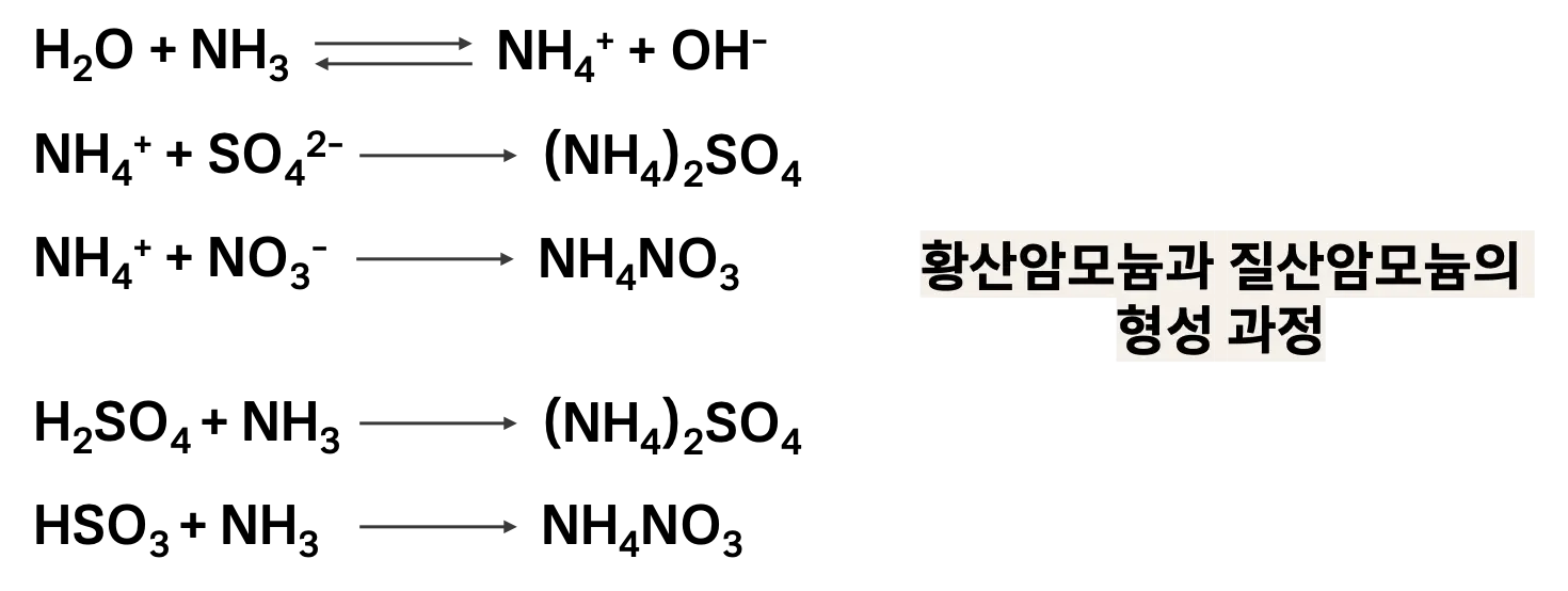 암모니아, 암모늄, 용해 반응, 분해 반응, 황산염, 황산, 질산염, 질산, 황산암모늄, 질산암모늄
