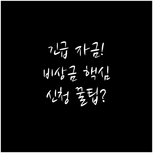 긴급 자금 비상금대출 신청 전 꼭 알..