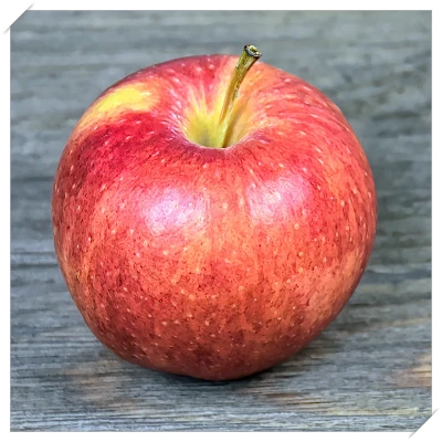 식도염 좋은 음식