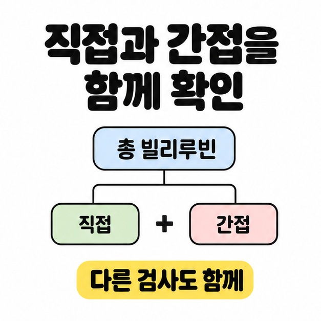 총 빌리루빈이 직접 빌리루빈과 간접 빌리루빈의 합이며 다른 검사도 함께 확인해야 함을 설명한 구성 도식
